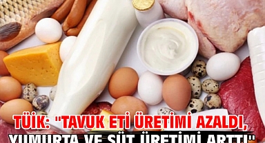 TÜİK: ''Tavuk eti üretimi azaldı, yumurta ve süt üretimi arttı''