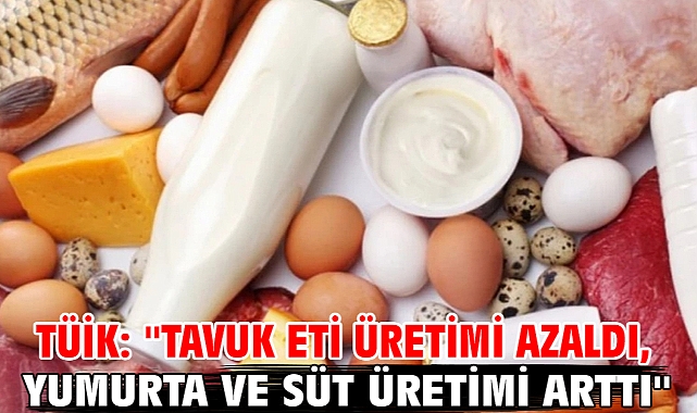 TÜİK: ''Tavuk eti üretimi azaldı, yumurta ve süt üretimi arttı''
