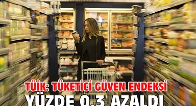 TÜİK: Tüketici güven endeksi yüzde 0,3 azaldı