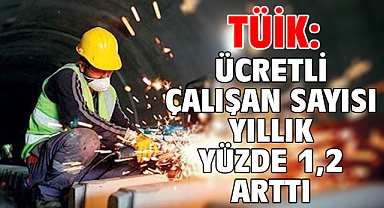TÜİK: Ücretli çalışan sayısı yıllık yüzde 1,2 arttı