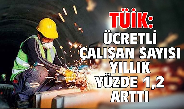 TÜİK: Ücretli çalışan sayısı yıllık yüzde 1,2 arttı
