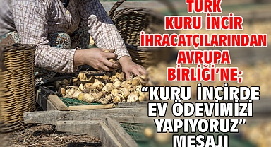 Türk kuru incir ihracatçılarından Avrupa Birliği’ne; “Kuru incirde ev ödevimizi yapıyoruz” mesajı 