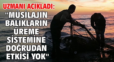 Uzmanı açıkladı: ''Müsilajın balıkların üreme sistemine doğrudan etkisi yok''