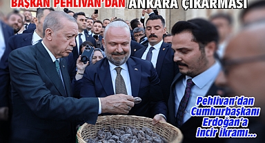 Başkan Pehlivan'dan Ankara çıkarması