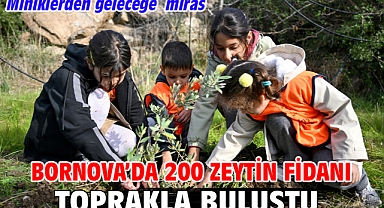 Bornova'da 200 zeytin fidanı toprakla buluştu  