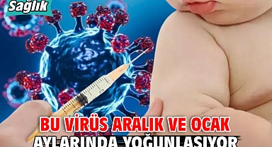 BU VİRÜS ARALIK VE OCAK AYLARINDA YOĞUNLAŞIYOR