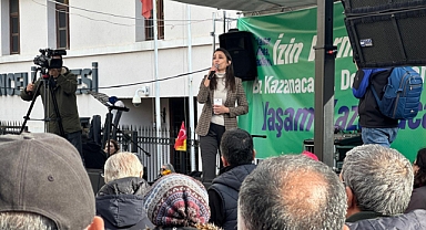 DEM Parti'li Hatimoğulları: Doğa talanına ‘hayır’ demeye devam edeceğiz