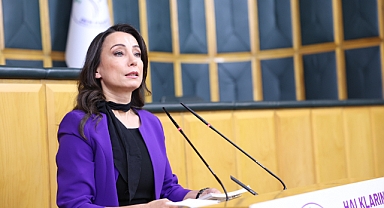 DEM Parti'li Hatimoğulları: Türkiye'nin ve bölgenin barışa ihtiyacı var