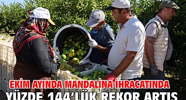 Ekim ayında mandalina ihracatında yüzde 144’lük rekor artış