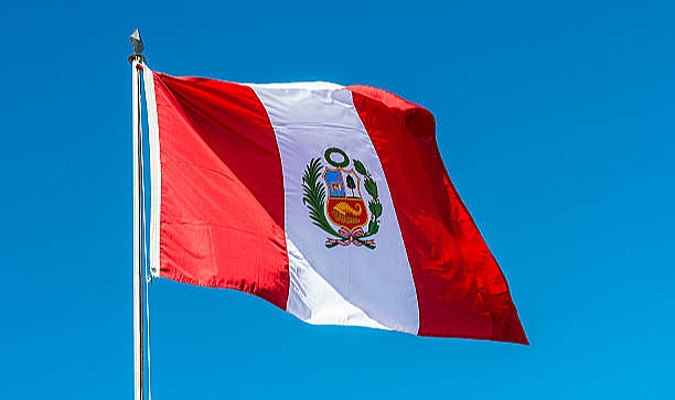 Eski Peru Devlet Başkanı Vizcarra'ya hapis cezası