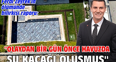 Ferdi Zeyrek'in ölümünde bilirkişi raporu: ''Olaydan bir gün önce havuzda su kaçağı oluşmuş''