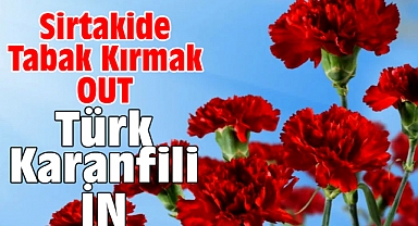 Sirtakide tabak kırmak OUT Türk karanfili İN