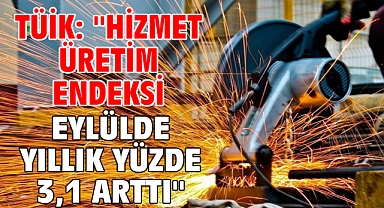 TÜİK: ''Hizmet üretim endeksi eylülde yıllık yüzde 3,1 arttı''