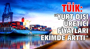 TÜİK: ''Yurt dışı üretici fiyatları ekimde arttı''