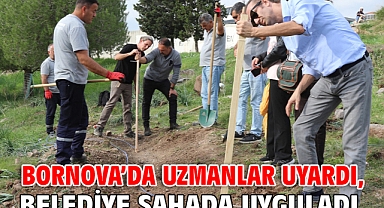 Uzmanlar uyardı, belediye sahada uyguladı