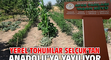 Yerel Tohumlar Selçuk'tan Anadolu'ya yayılıyor