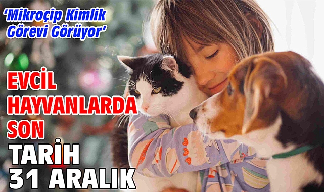 Evcil hayvanlarda son tarih 31 Aralık