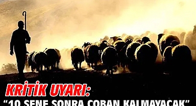 Kritik Uyarı: “10 Sene sonra çoban kalmayacak”
