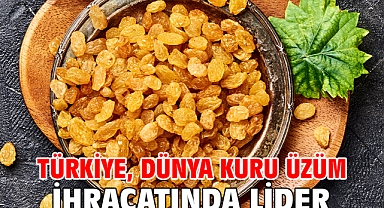 Türkiye, dünya kuru üzüm ihracatında lider