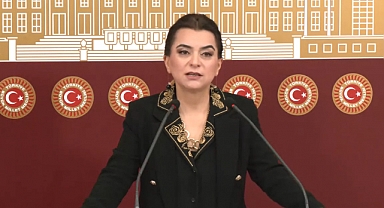 DEM Parti'li Koçyiğit: Barış yasaları ivedilikle çıkmalı