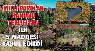 'Milli Parklar Kanunu Teklifi'nin ilk 5 maddesi kabul edildi
