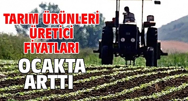 Tarım ürünleri üretici fiyatları ocakta arttı