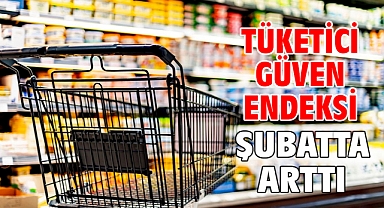 Tüketici güven endeksi şubatta arttı