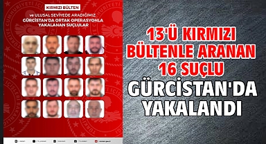13'ü kırmızı bültenle aranan 16 suçlu Gürcistan'da yakalandı