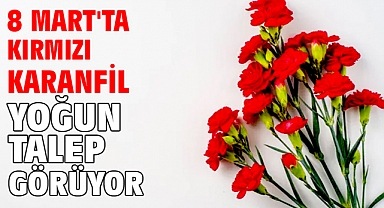 8 Mart'ta kırmızı karanfil yoğun talep görüyor
