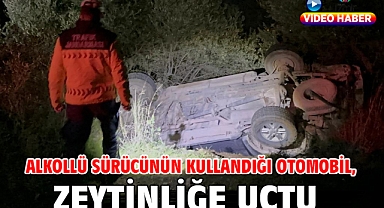 Alkollü sürücünün kullandığı otomobil, zeytinliğe uçtu