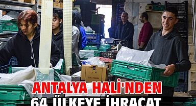 Antalya Hali'nden 64 ülkeye ihracat
