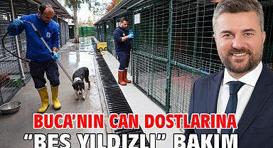 Buca’nın can dostlarına “beş yıldızlı” bakım