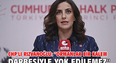 CHP'li Rızvanoğlu: ''Ormanlar bir kalem darbesiyle yok edilemez''