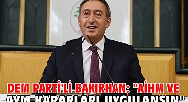 DEM Parti'li Bakırhan: ''AİHM ve AYM kararları uygulansın''