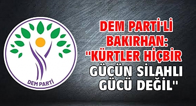 DEM Parti'li Bakırhan: ''Kürtler hiçbir gücün silahlı gücü değil''