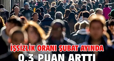 İşsizlik oranı şubat ayında 0,3 puan arttı