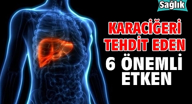 Karaciğeri Tehdit Eden 6 Önemli Etken!