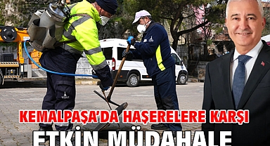 Kemalpaşa’da Haşerelere Karşı Etkin Müdahale