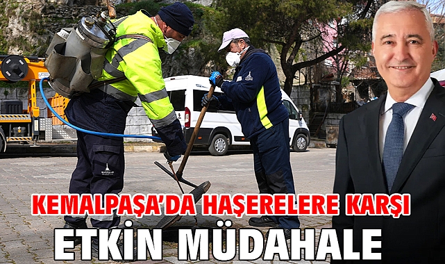 Kemalpaşa’da Haşerelere Karşı Etkin Müdahale