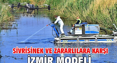 Sivrisinek ve zararlılara karşı İzmir modeli