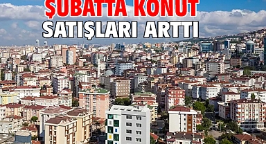 Şubatta konut satışları arttı
