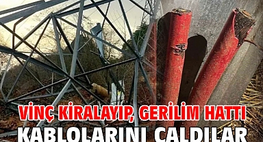 Vinç kiralayıp, gerilim hattı kablolarını çaldılar