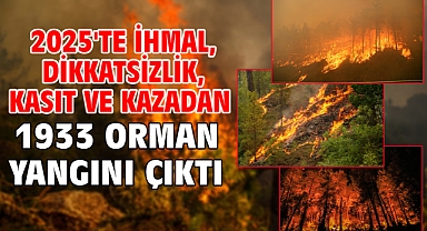 2025'te ihmal, dikkatsizlik, kasıt ve kazadan 1933 orman yangını çıktı