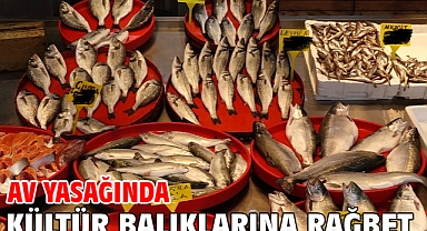 Av yasağında kültür balıklarına rağbet