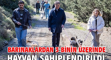 Barınaklardan 3 binin üzerinde hayvan sahiplendirildi