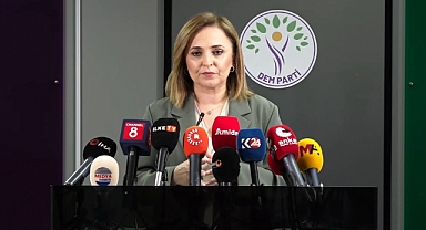 DEM Parti'li Doğan: Tartışmaları siyasal zemin üzerinden yürütmek daha doğru olur