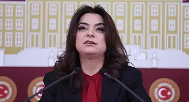 DEM Parti'li Koçyiğit: Sürecin geciktirilmesini doğru bulmuyoruz