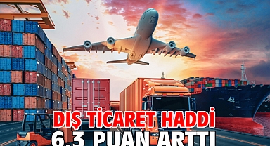 Dış ticaret haddi 6,3 puan arttı
