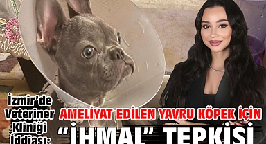 İzmir’de Veteriner Kliniği İddiası: Ameliyat Edilen Yavru Köpek İçin “İhmal” Tepkisi