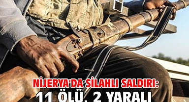 Nijerya'da silahlı saldırı: 11 ölü, 2 yaralı